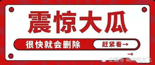 吃瓜娱乐百科大全免费阅读,吃瓜娱乐百科大全免费阅读全解析